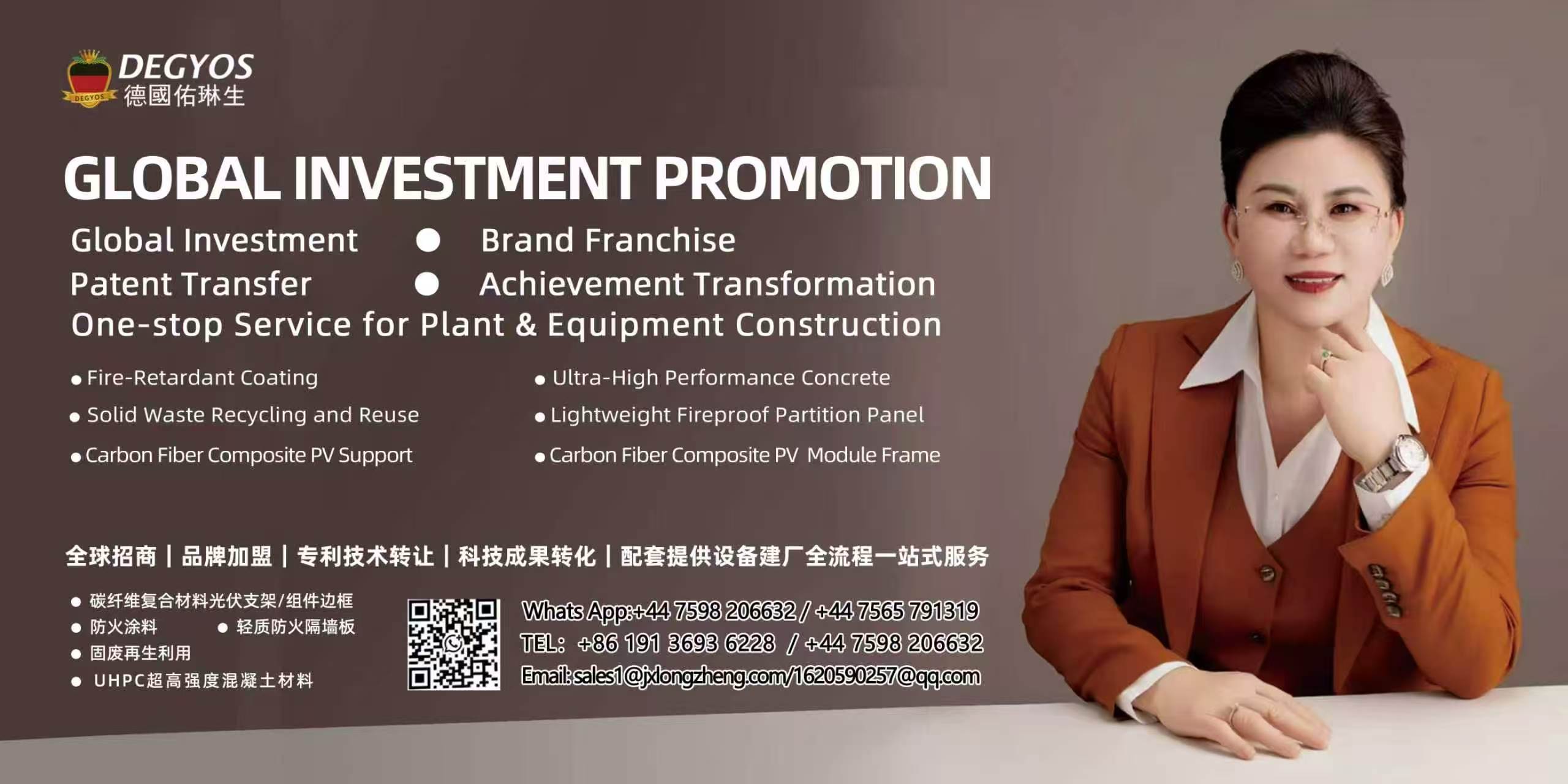 Company chairperson presenting global investment promotion and international cooperation services